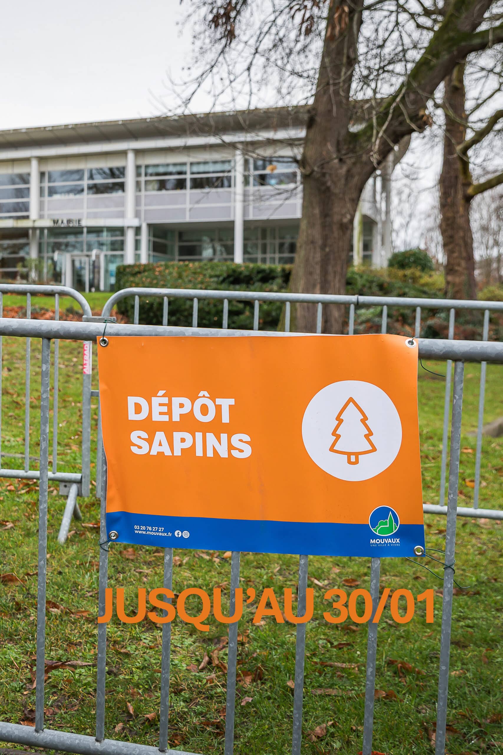 déposez votre sapin dans les 6 points de collecte de Mouvaux